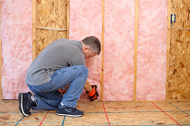 Best Energy Efficiency Solutions in Big Lake, MN